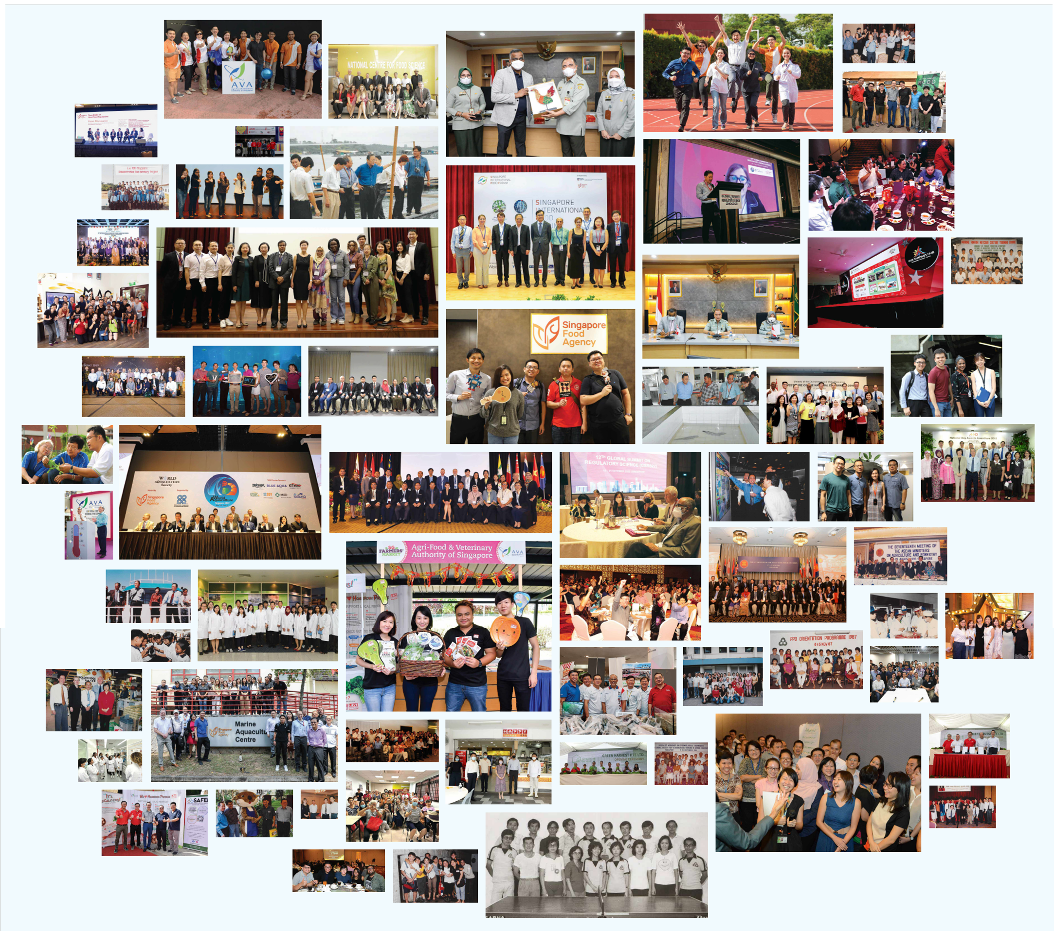 Sg60 Fft Thank You Pic 2 Sg60 Fft Thank You Pic 2
