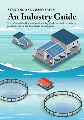 Industry Guide Sea Industry Guide Sea