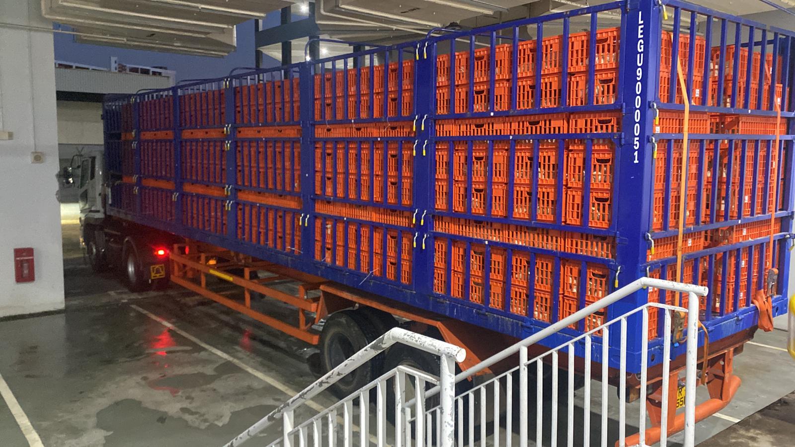 Live Chicken Shipment Live Chicken Shipment