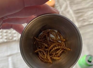 Insect1 Insect1