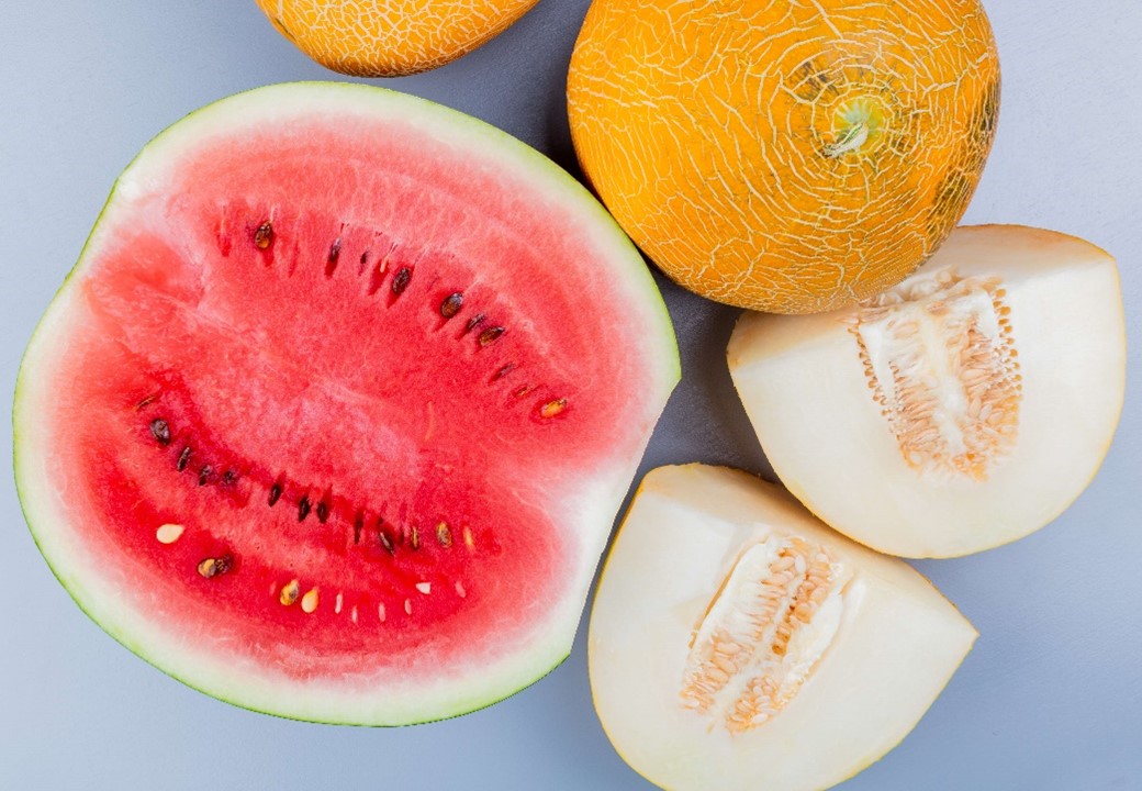 Melons and Foodborne Outbreaks