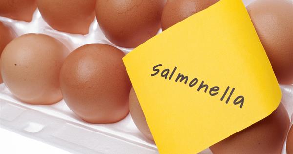 Salmonella Eggs