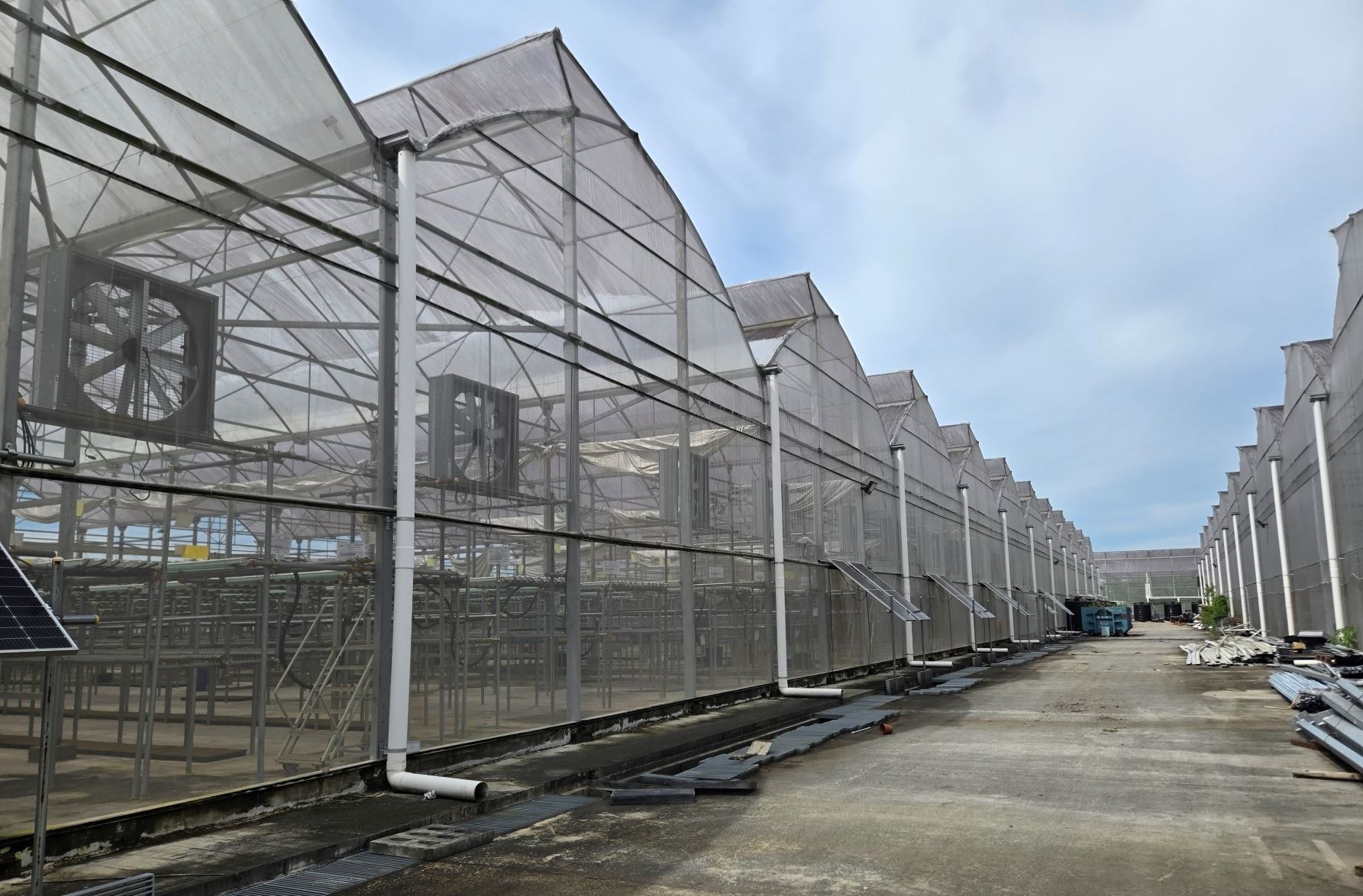 Bestpracticenewsletter Hydroculture Dec2024 Image