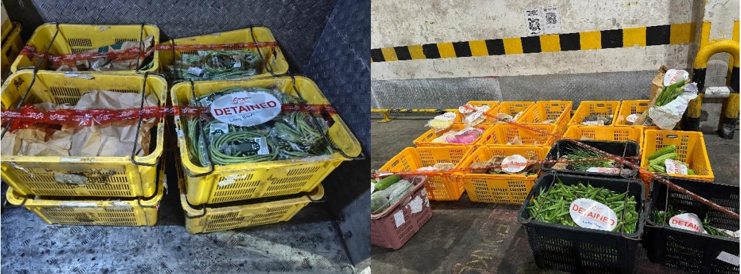 Illegal Imports