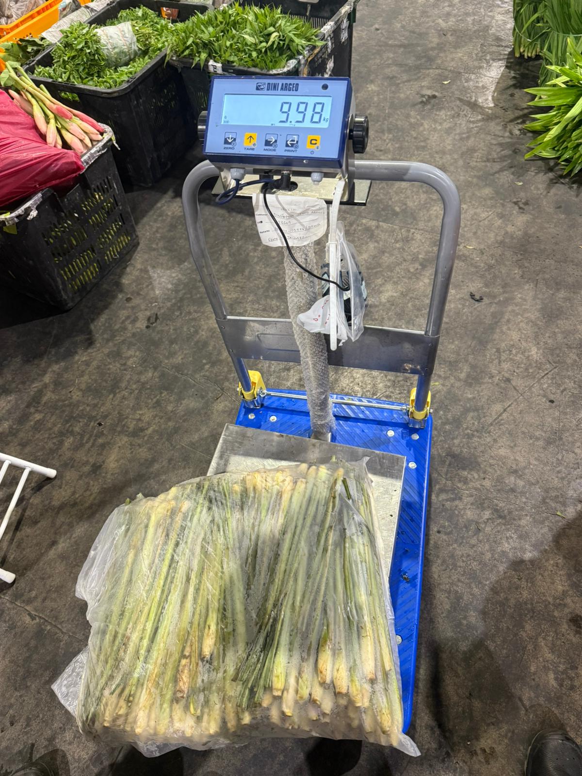 Ops Weighing Ops Weighing